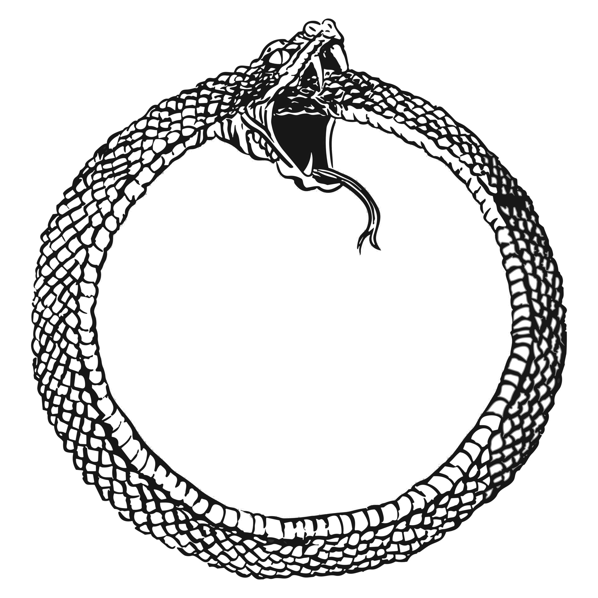 Ouroboros
